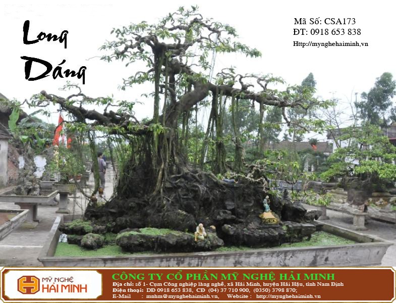 Do go my nghe Hai Minh - Hai Hau - Nam Dinh